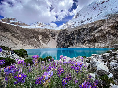 laguna 69 pq